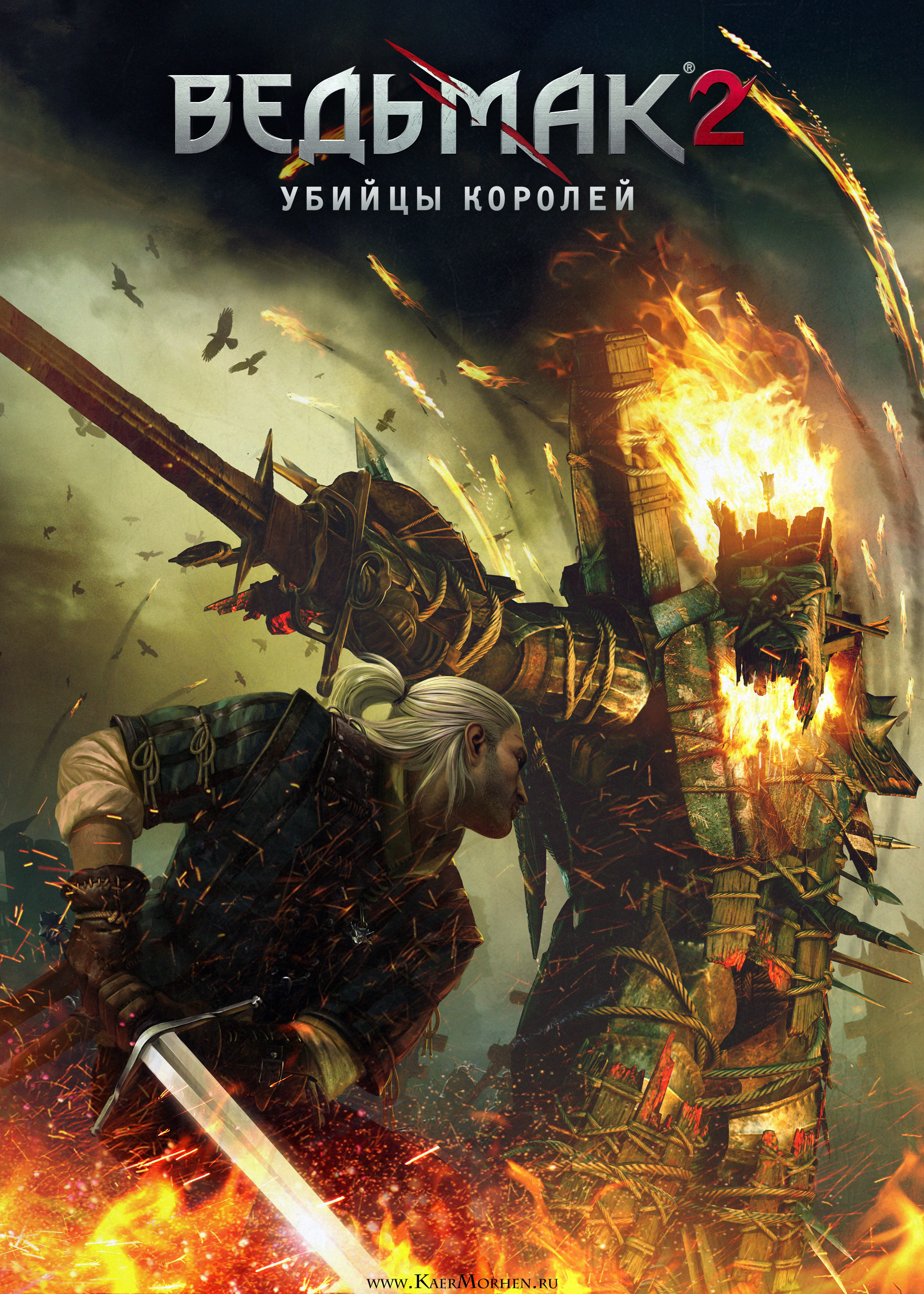 Обложка Witcher 2: Assassins of Kings, the